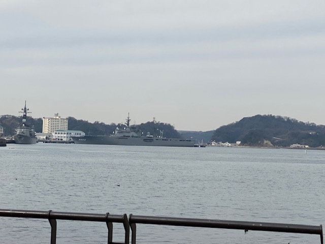 IMG_2239.jpg